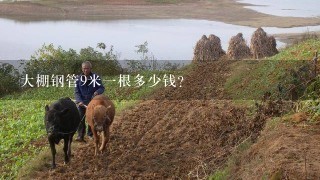 大棚钢管9米一根多少钱？