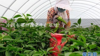 中国有哪些蔬菜生产基地？