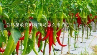 含钙量最高的食物是怎么排名的？