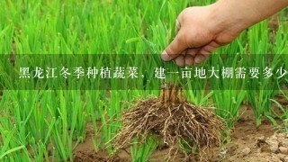 黑龙江冬季种植蔬菜，建一亩地大棚需要多少钱？建什么样的大棚呢？