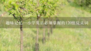 趣味记忆—小学英语必须掌握的120组反义词