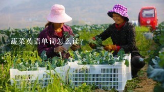 蔬菜英语单词怎么读?