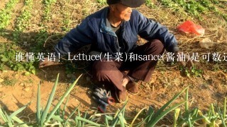 谁懂英语！Lettuce(生菜)和sance(酱油)是可数还是不可数的啊