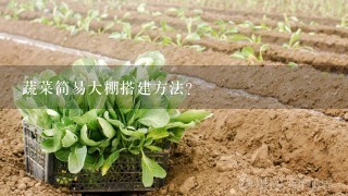 蔬菜简易大棚搭建方法？