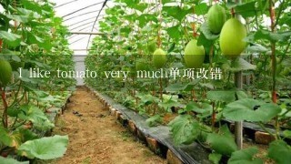 I like tomato very much单项改错