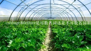 cabbage和lettuce是可数名词还是不可数名词如果是可