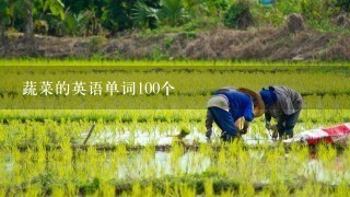 蔬菜的英语单词100个