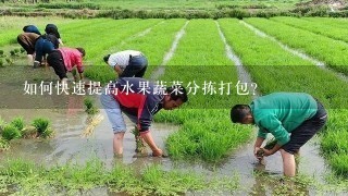 如何快速提高水果蔬菜分拣打包？