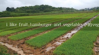 i like fruit,hamburger and vegetables中的vegetab