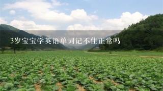 3岁宝宝学英语单词记不住正常吗