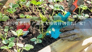 请问哪里有生产蔬菜大棚镀锌钢管的厂家？