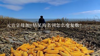 元音字母加y结尾的名词怎么变复数？