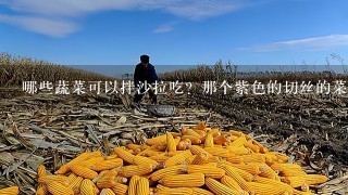 哪些蔬菜可以拌沙拉吃？那个紫色的切丝的菜叫什么名字？