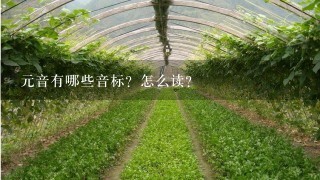 元音有哪些音标？怎么读？