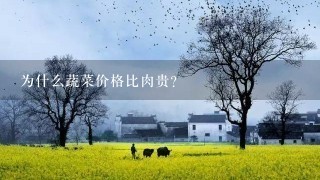 为什么蔬菜价格比肉贵？