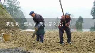 我想要1些蔬菜 英语怎么说?