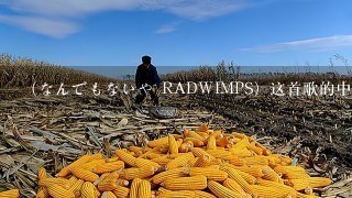 （なんでもないや RADWIMPS）这首歌的中文谐音，不需要日文歌词和中文