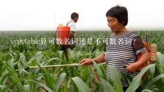 vegetable算可数名词还是不可数名词？