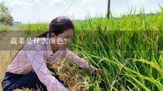 蔬菜是什么颜色？