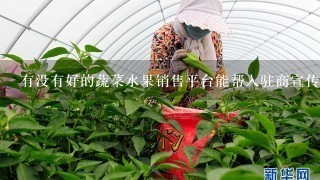 有没有好的蔬菜水果销售平台能帮入驻商宣传的啊？