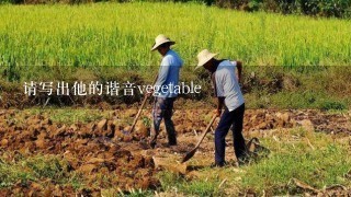 请写出他的谐音vegetable