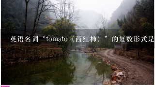 英语名词“tomato（西红柿）”的复数形式是“（）”。