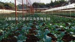 大棚钢架价格表以及举例介绍