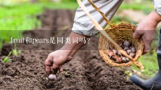 fruit和pears是同类词吗？