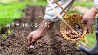 蔬菜英语单词怎么读？