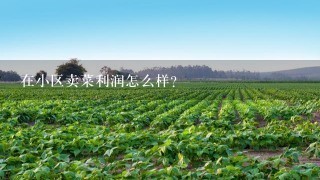 在小区卖菜利润怎么样？