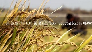 急急急!!!无叶蔬菜(leafless vegetables)有哪些?它们的英文怎么拼写??拜托1下~~~谢啦~~