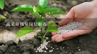 蔬菜分拣员岗位职责