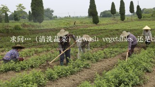 求问…（清洗蔬菜）是wash vegetables 还是clean the