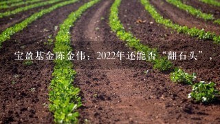 宝盈基金陈金伟：2022年还能否“翻石头”，去哪翻