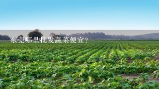 东莞哪里批发蔬菜便宜？