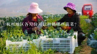 杭州地区各月份可以种植哪些蔬菜？