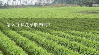 怎么寻找蔬菜收购商？