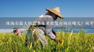 珠海市最大的蔬菜水果批发市场在哪儿？从十4村坐几路公交车去？