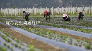 昵称女生简短好听