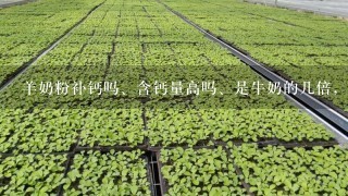 羊奶粉补钙吗、含钙量高吗、是牛奶的几倍，羊奶为什么没有含钙量