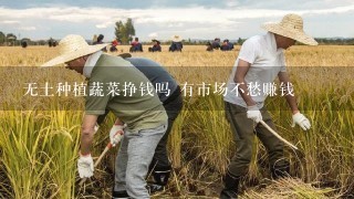 无土种植蔬菜挣钱吗 有市场不愁赚钱