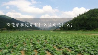 松花菜和花菜有什么区别是什么?