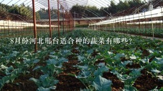 8月份河北邢台适合种的蔬菜有哪些？