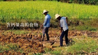 含钙量高的食物