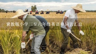 冀教版小学3至6年级英语单词表汇总