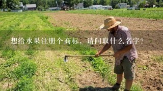 想给水果注册个商标，请问取什么名字？