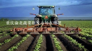 重庆渝北蔬菜批发市场在哪里