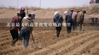 北京最大的蔬菜批发市场在哪里