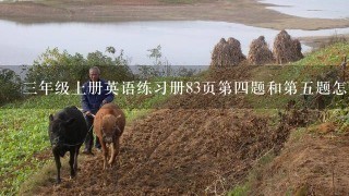 3年级上册英语练习册83页第4题和第5题怎么写