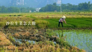 沙拉生菜怎么做